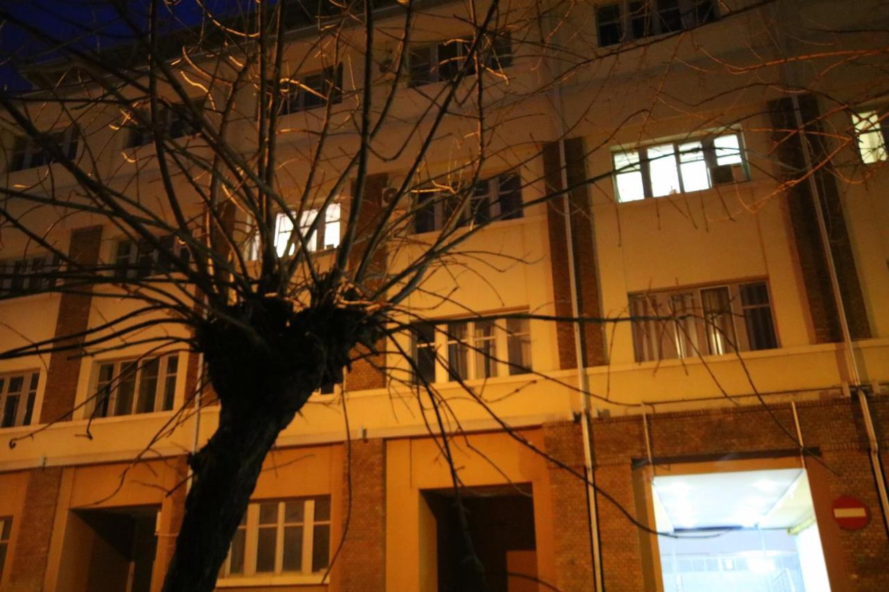 Comfort Residence Timisoara Exterior foto